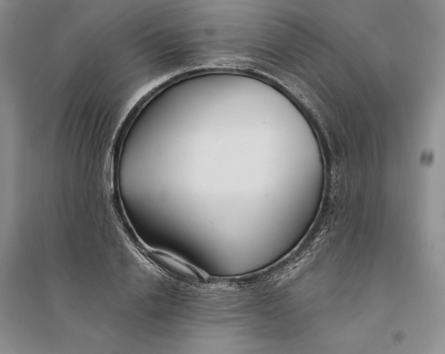 X0000094080838200711091213
