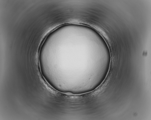 X0000094080839200711091213