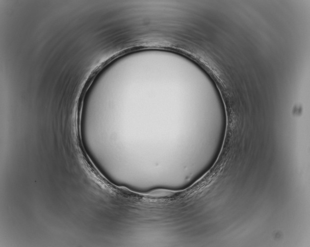 X0000094080840200711091213