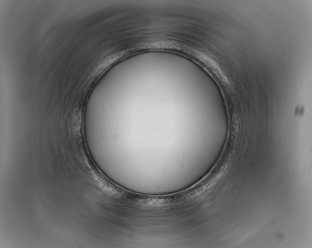 X0000094080841200711091213
