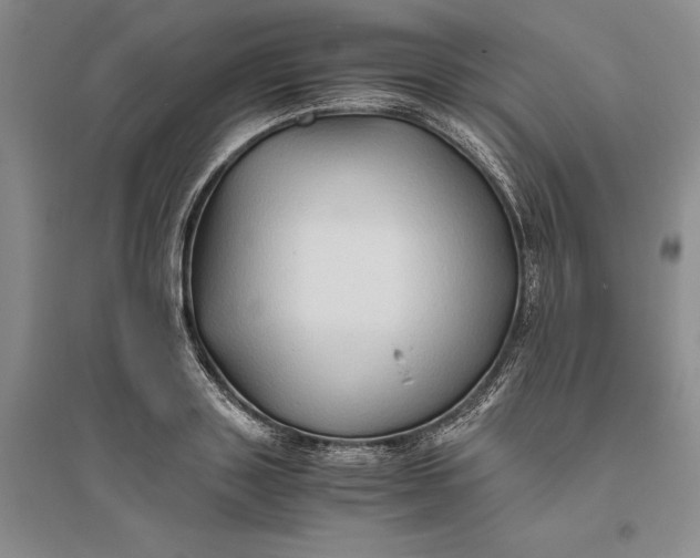 X0000094080843200711091213