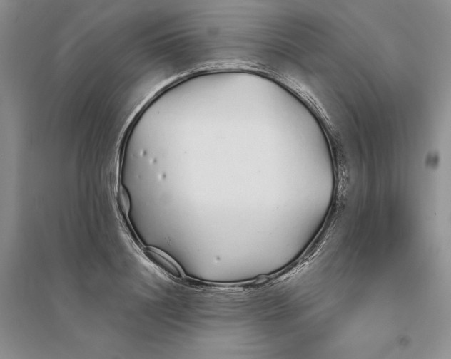 X0000094080844200711091213