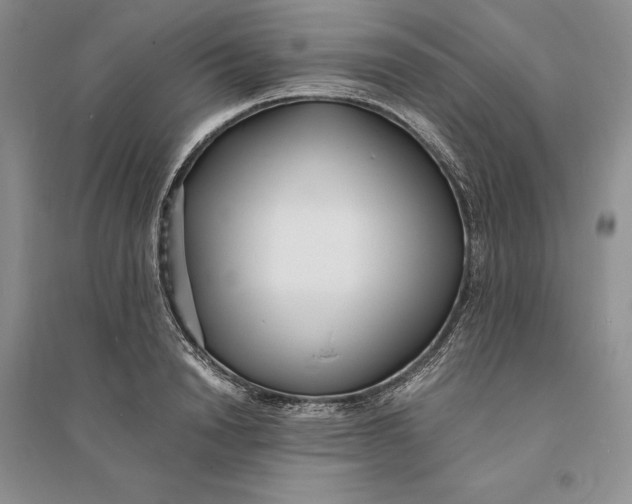 X0000094080846200711091213