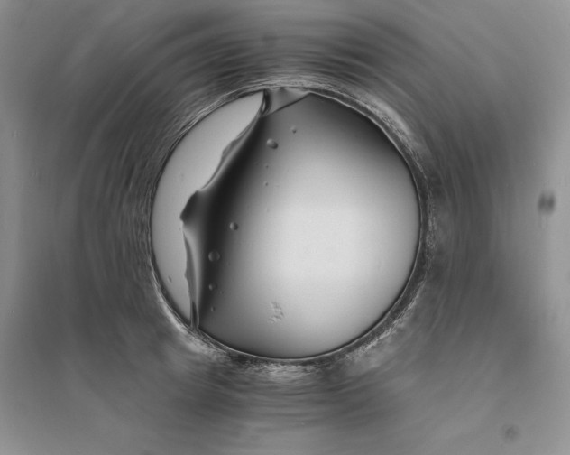 X0000094080849200711091213
