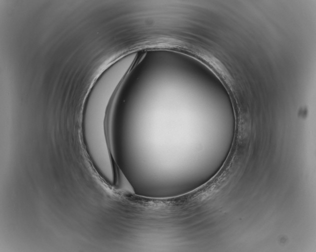 X0000094080850200711091213