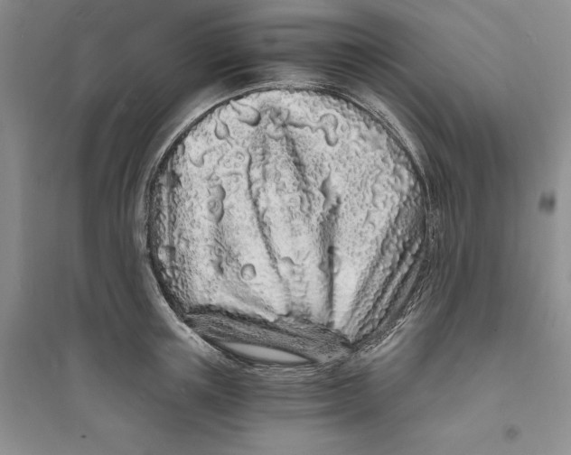 X0000094080851200711091213