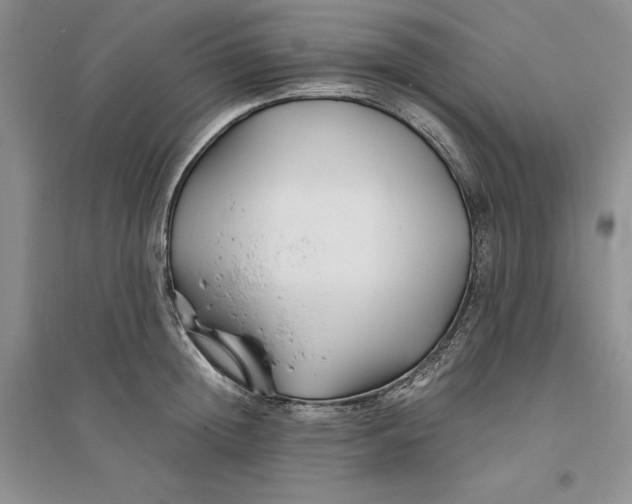 X0000094080852200711091213