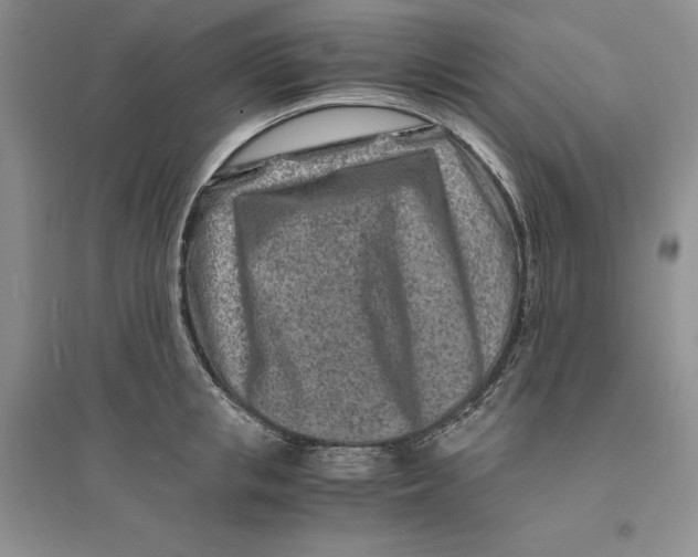 X0000094080853200711091213