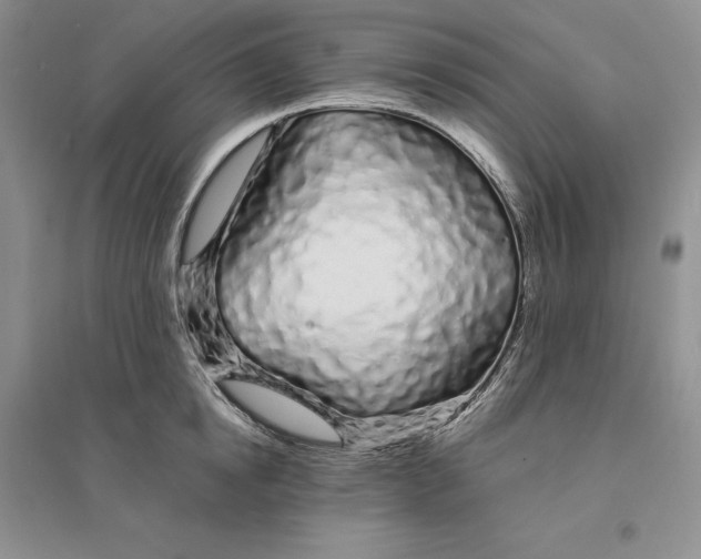 X0000094080854200711091213