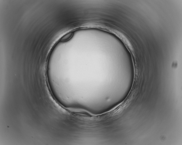 X0000094080855200711091213