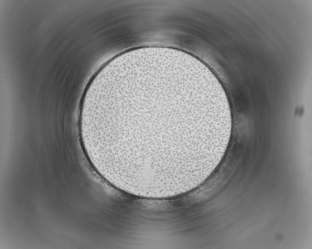 X0000094080856200711091213