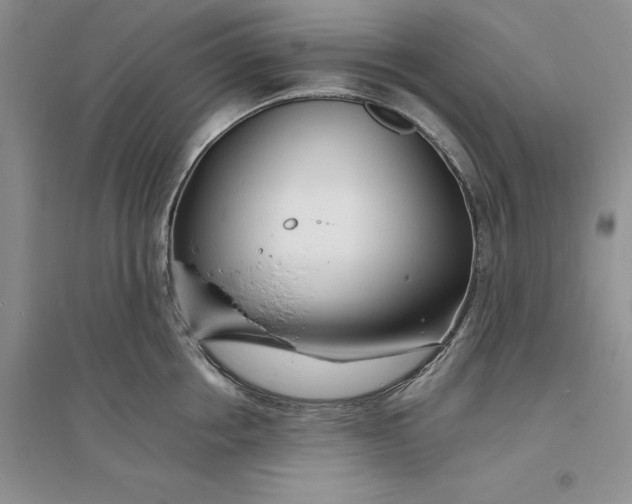 X0000094080858200711091213