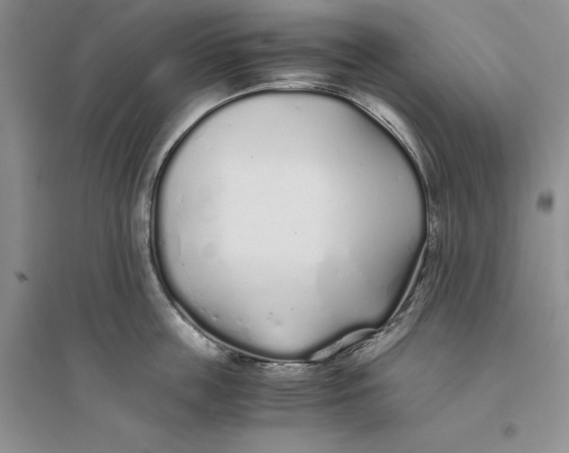 X0000094080859200711091213