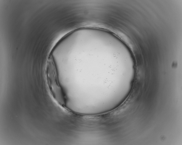 X0000094080863200711091213