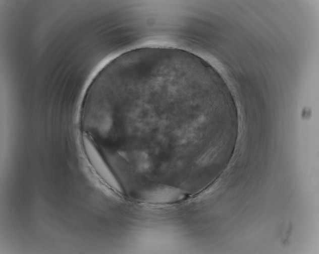 X0000094080864200711091213