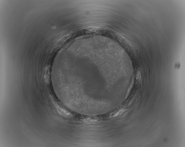 X0000094080868200711091212
