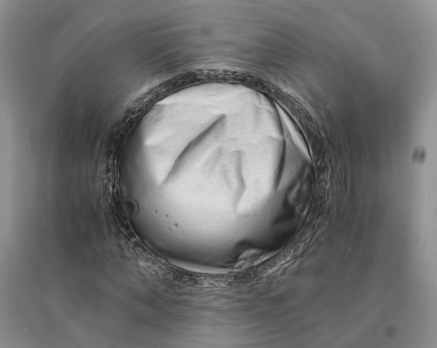 X0000094080870200711091212