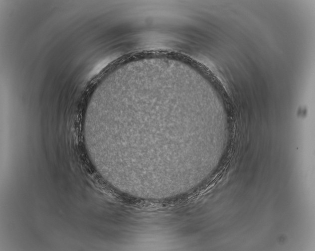 X0000094080871200711091212