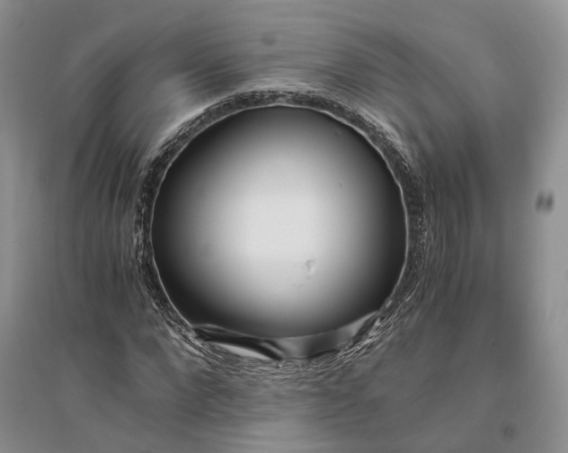 X0000094080872200711091212