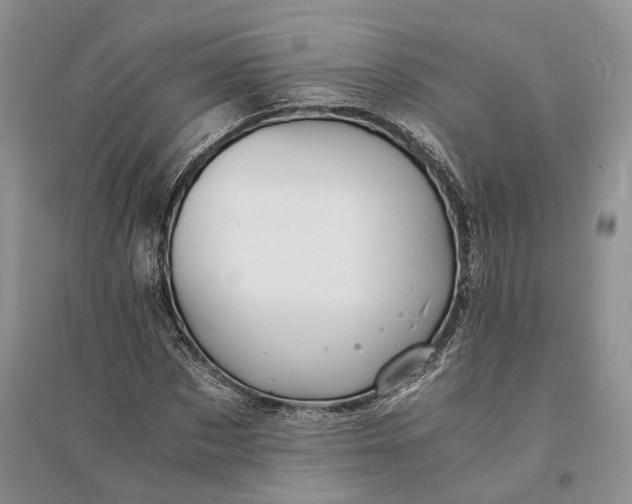 X0000094080873200711091212