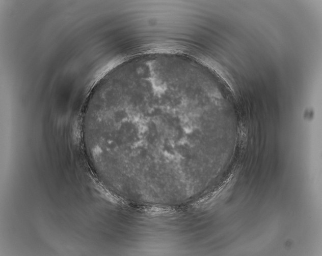 X0000094080874200711091212