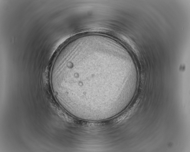 X0000094080875200711091212