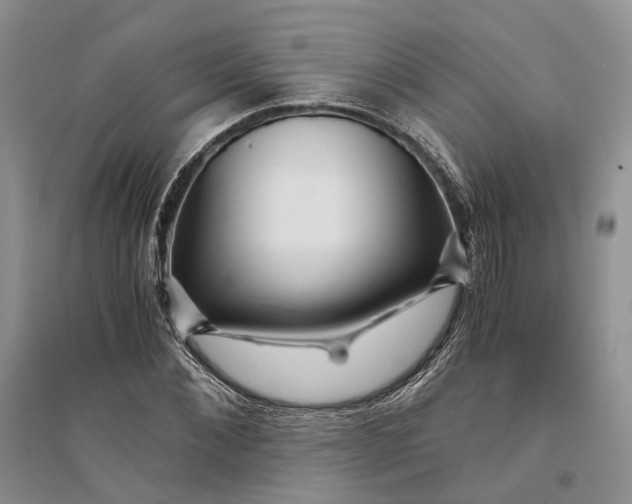 X0000094080876200711091212