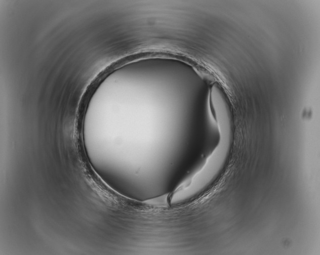 X0000094080880200711091212