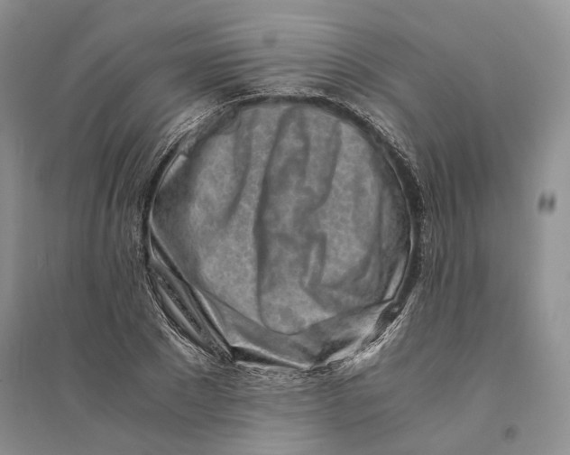 X0000094080881200711091212
