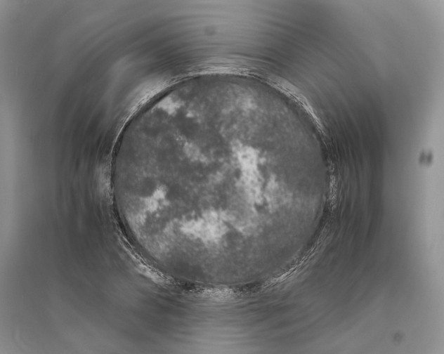 X0000094080882200711091212