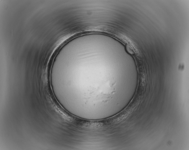 X0000094080884200711091212