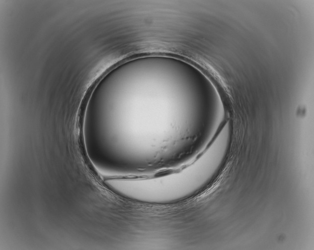 X0000094080885200711091212