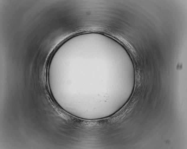 X0000094080886200711091212