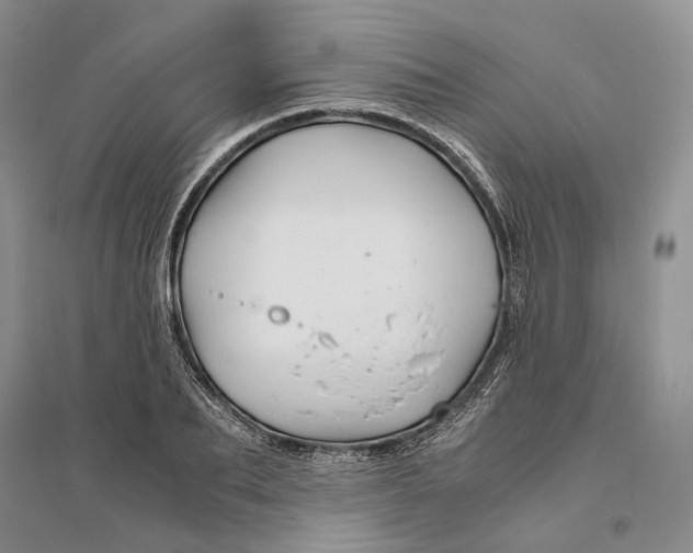 X0000094080887200711091212