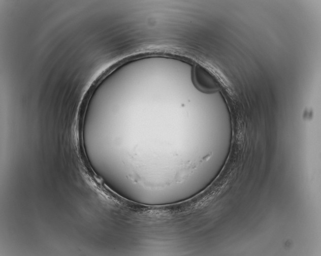 X0000094080888200711091212