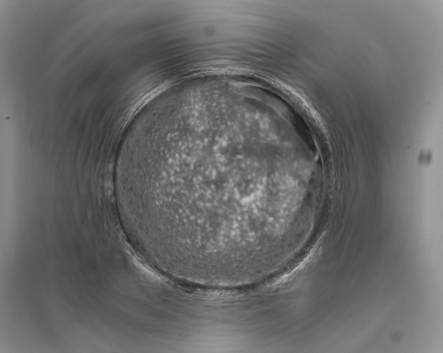 X0000094080889200711091212