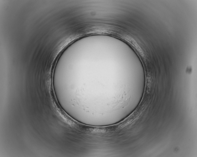 X0000094080890200711091212