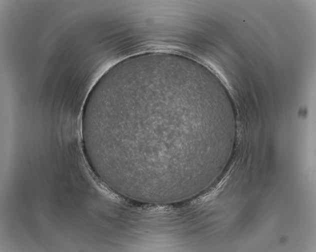 X0000094080891200711091212