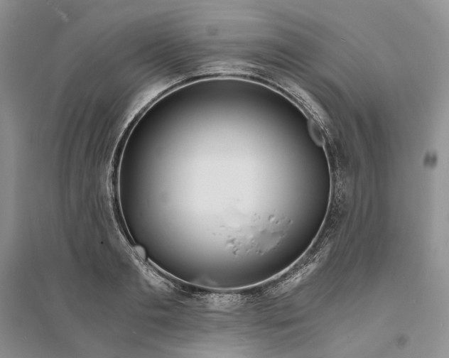 X0000094080893200711091212