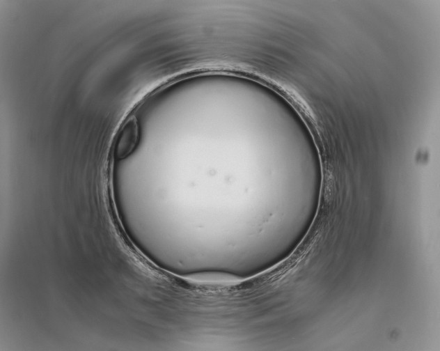 X0000094080895200711091212