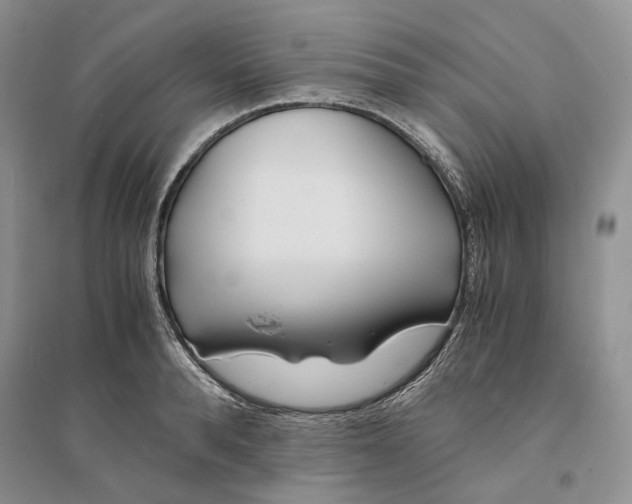 X0000094080896200711091212