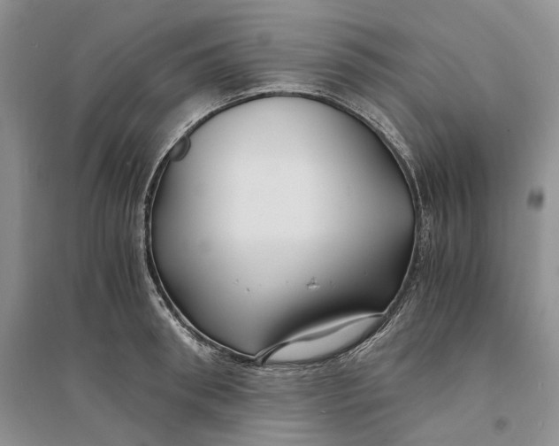 X0000094080898200711091212
