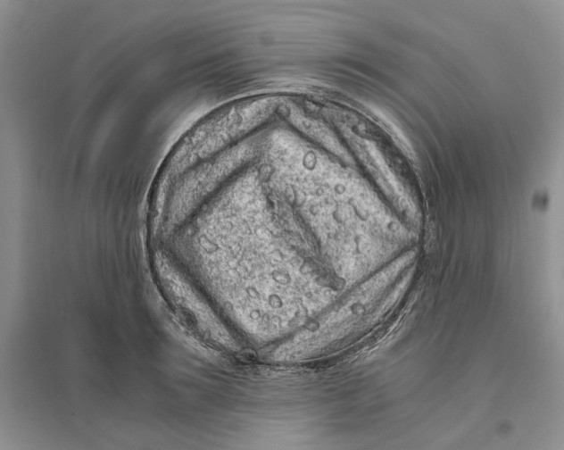 X0000094080899200711091212