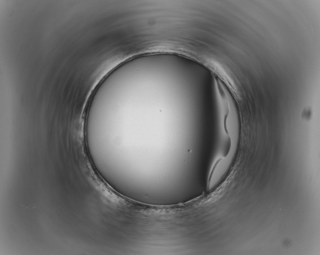 X0000094080900200711091212