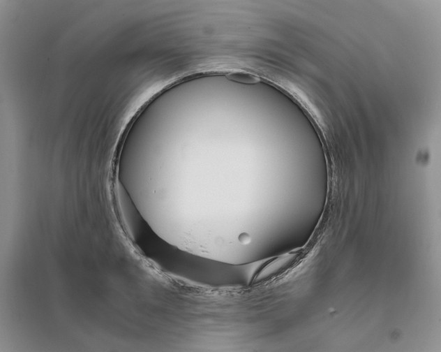 X0000094080901200711091212