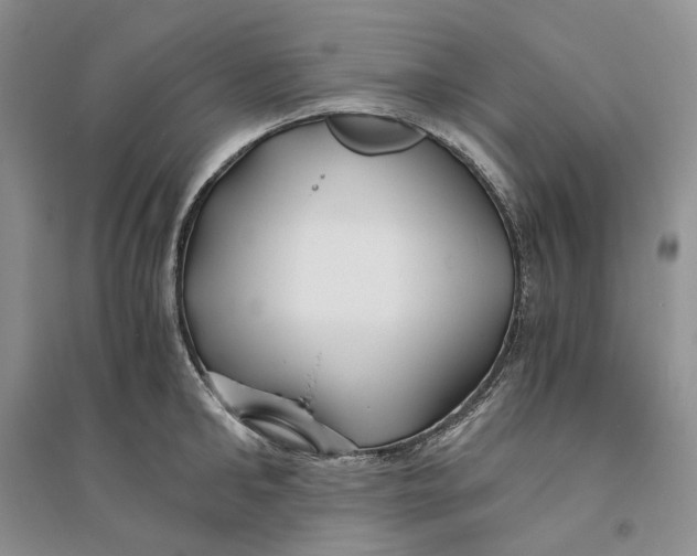 X0000094080902200711091212