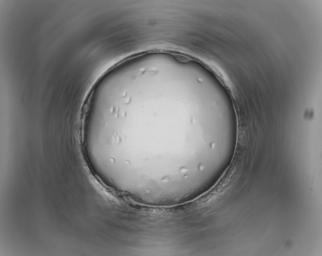 X0000094080903200711091212