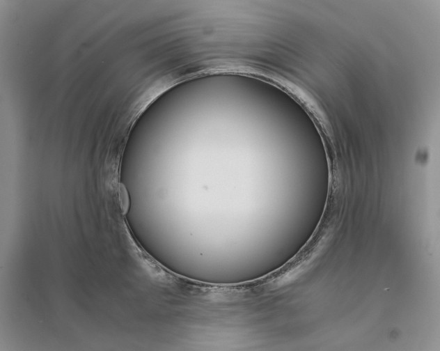 X0000094080905200711091212