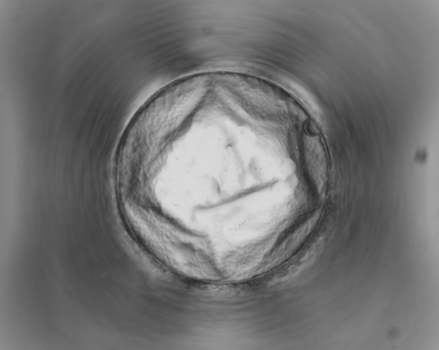 X0000094080907200711091212