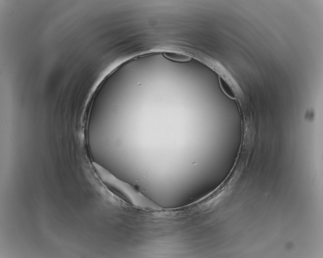 X0000094080908200711091212